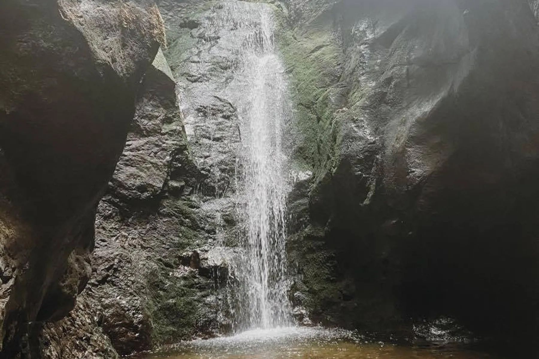 Narrow canyon walls covered in moss and fern